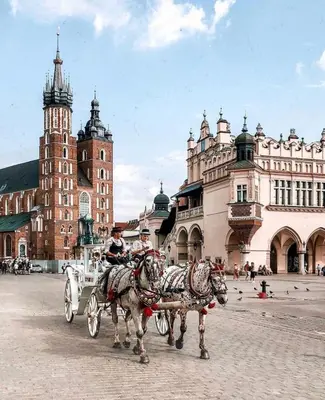 two horses pulling a carriage in a city at Klasyczny apartament obok Wawelu Old Town in Kraków