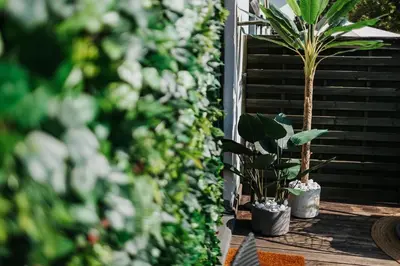 a couple of potted plants sitting on a balcony at ICE next to the Wawel Castle Free Parking Two Cars in Kraków