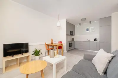 a living room with a couch and a tv at 1 bedroom Apartment with Terrace - Wawrzyńca 21 in Kraków