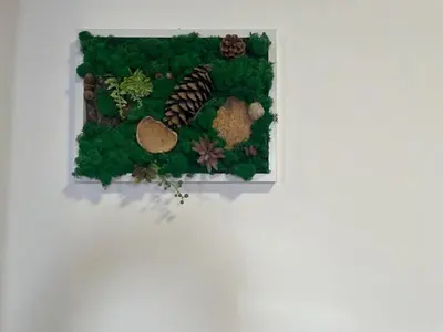 a model of a garden with rocks and plants at Apartament Solny Wieliczka Centrum 3 in Wieliczka