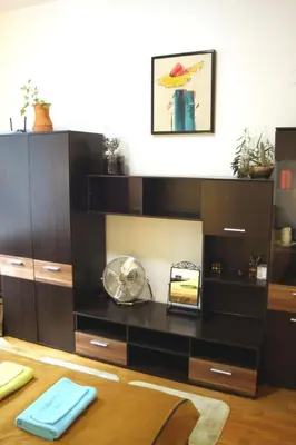 a living room with a large black book shelf at Anna, City Center in Kraków