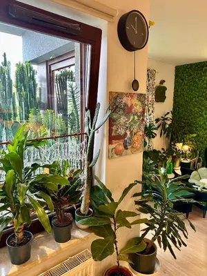 a room with a bunch of potted plants and a clock at Kaczary Deluxe 56m2 in Kraków