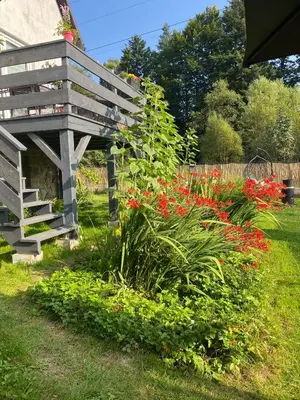a wooden bench in a garden with red flowers at Apartament Koszarawa in Koszarawa