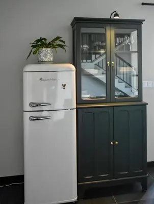a refrigerator next to a cabinet with a potted plant at Siedlisko na Agatowej w Rudnie in Rudno