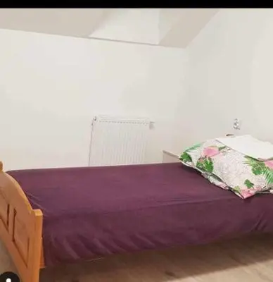 a bedroom with a purple bed with a pillow at Świnna Poręba Rooms in Świnna Poręba