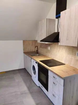 a kitchen with a sink and a washer in it at Świnna Poręba Rooms in Świnna Poręba
