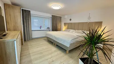 a bedroom with a bed and a potted plant at Apartamenty Oracka Przystań Solna 1 in Bochnia