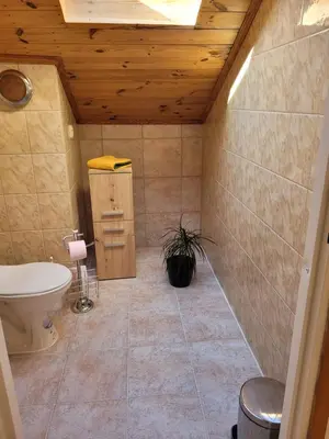 a bathroom with a toilet and a plant in it at Atrium Jerzmanowice in Jerzmanowice