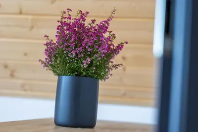 a blue vase filled with purple flowers on a table at Piotrowiczówka Osada w Szczyrzycu in Szczyrzyc
