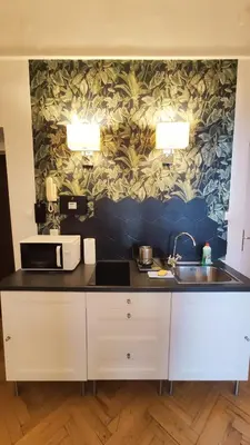 a kitchen with a counter with a sink and a wallpaper at Floriańska 10 C-D by Homeprime in Kraków