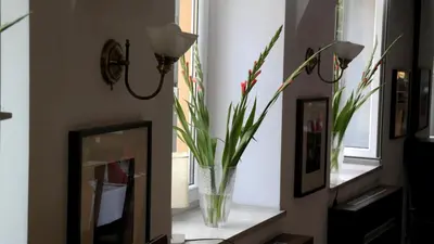 a vase with flowers on a shelf in a room at Ośrodek SCSK Optima in Kraków