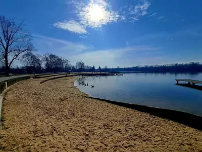 a beach with ducks swimming in the water at Apartament Bazylek, miejsce parkingowe w garażu podziemnym in Kraków
