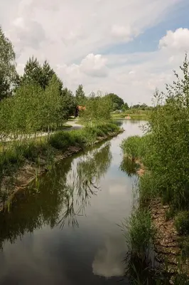 a river with trees on the side of it at Centrum Aktywnego Wypoczynku Borek in Rzezawa