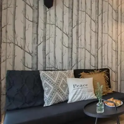 Rakowicka Apartment - free parking