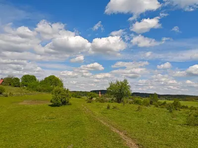 a field of green grass with a blue sky with clouds at Bramka do lasu in Dąbrowa Górnicza