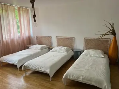 a room with two beds and a window and a plant at Maldives for three in Jaworzno