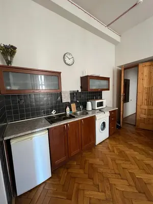 a kitchen with a sink and a dishwasher at Old Town Apartments in Kraków