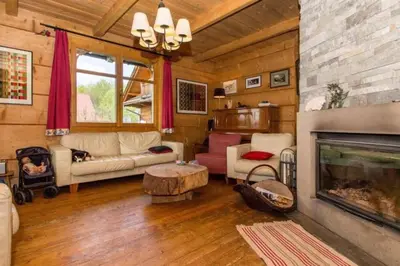 a living room with a couch and a fireplace at Holzvilla Nähe Krakau in Krzywaczka