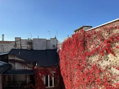 a tree with red leaves on the side of a building at S45 APT by PROMODERO in Kraków