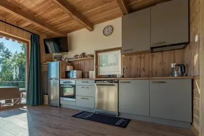 a kitchen with stainless steel appliances and wooden walls at Łysogórska Polana Domki in Mordarka