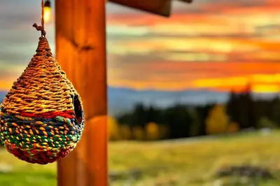 a bird feeder hanging from a wooden pole at Closer to Heaven, 825m above sea, Koskowa Mtn in Bogdanówka