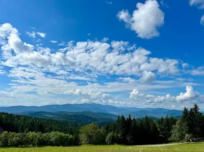 a green field with trees and a blue sky with clouds at Closer to Heaven, 825m above sea, Koskowa Mtn in Bogdanówka