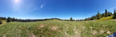 a large grassy hill with trees on top of it at Mały domek in Lubomierz