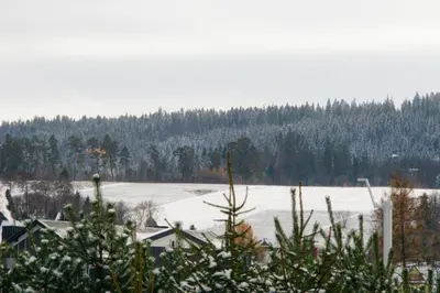 a snow covered field with trees in the background at Apartament Mikołaja w Rabce in Rabka