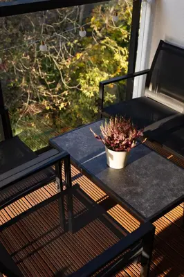 a black table with a potted plant on a balcony at GREEN OASIS - free parking, big balcony, private park in Kraków