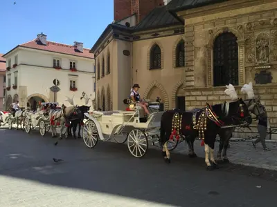 a horse drawn carriage in front of a building at Kraków Apartments - Friedleina Studio Apartments in Kraków