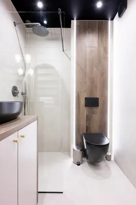 a bathroom with a black toilet and a shower at Native Apartments Kościuszki 39I24 in Kraków