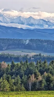 a view of a mountain range with trees and mountains at Pod Wysokim Niebem in Wysokie