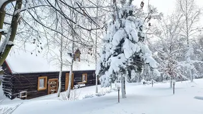 a cabin in the snow with a snow covered tree at Pod Wysokim Niebem in Wysokie