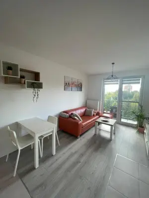 a living room with a couch and a table at Przestronne mieszkanie Kraków in Kraków