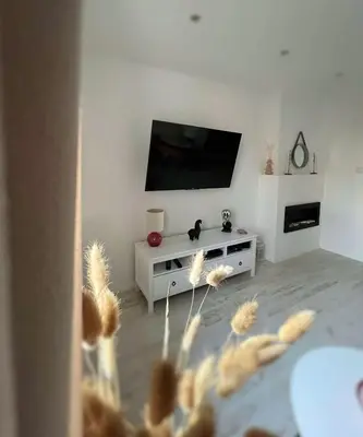 a living room with a flat screen tv and dried grass at Apartament Lumière in Oświęcim