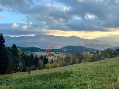 a red kite is flying in a field at Kefasówka in Zawoja