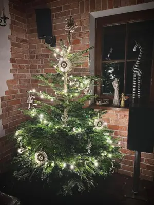 a christmas tree with lights in front of a fireplace at Kefasówka in Zawoja