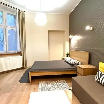 Przestronne Studio w centrum