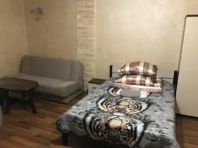 a living room with a bed and a couch at Topolowa, studio-flat ground floor in Kraków