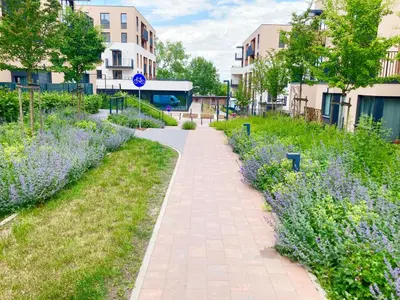 a walkway in a city with purple flowers at Apartament Łagiewniki 2 in Kraków