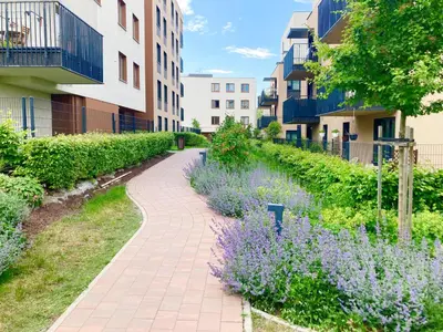 a walkway with purple flowers next to buildings at Apartament Łagiewniki 2 in Kraków