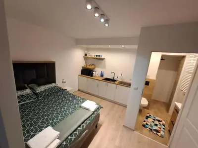 a bedroom with a bed and a sink in it at ApartamentyM&K in Balice