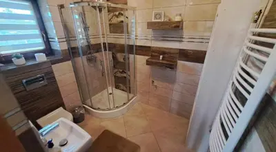 a bathroom with a shower and a toilet and a sink at Domek Wypoczynkowy Relax in Bystra