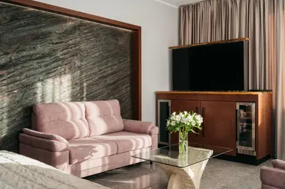 a living room with a couch and a tv at Native Apartments Lenartowicza 17 in Kraków