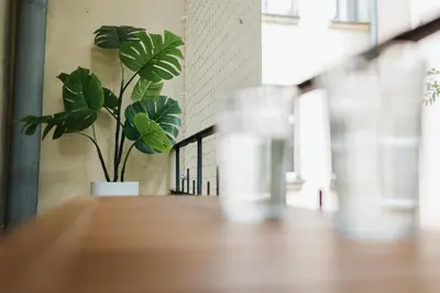 a potted plant sitting on a table in a room at Golden Merchant Main Square in Kraków