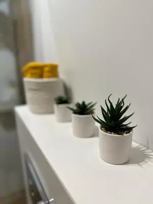 three potted plants sitting on a kitchen counter at Makowy Domek in Maków Podhalański