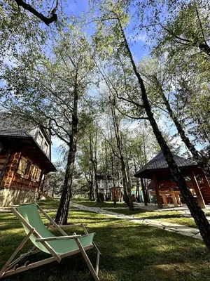 a green chair sitting in the grass next to a cabin at Sękata Chata - drewniany domek z jacuzzi in Osieczany