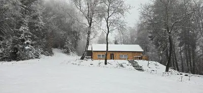 a wooden cabin in the snow with a snow covered at Chałupa na Wierzchowinie in Limanowa