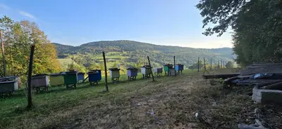 a row of trash cans in a field with a mountain at Chałupa na Wierzchowinie in Limanowa