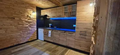 a kitchen with a sink and a wooden wall at Chałupa na Wierzchowinie in Limanowa